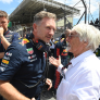 Christian Horner exposes former F1 chief over X-rated advice