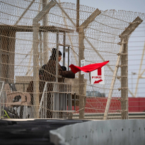 F1 Results Today: Chaos reigns as champion out of FOUR-red flag session